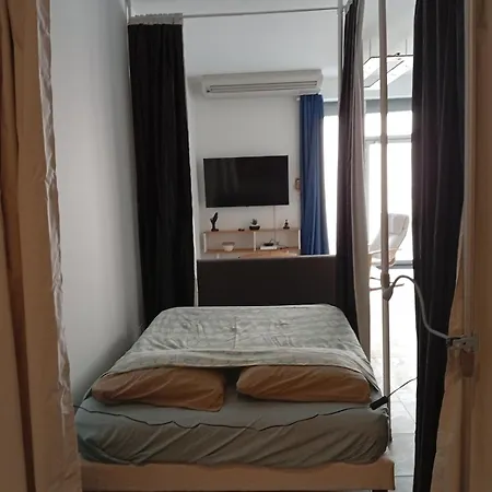 Le Loft Du Neflier Διαμέρισμα Oullins